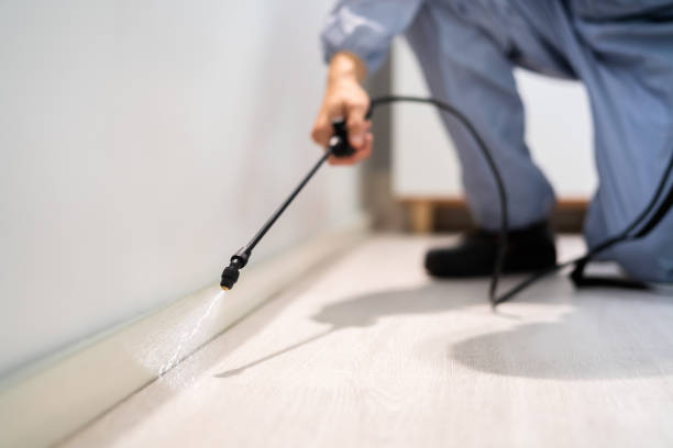 Licensed Fumigation Services service in Cimarron County County, OK - Nex Pest Control